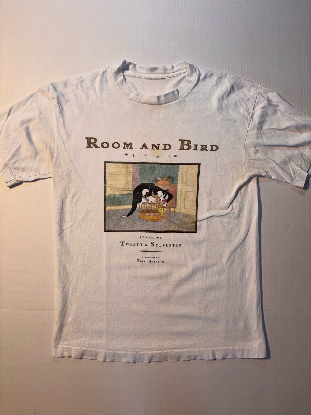 Vtg Looney Tunes Tweety & Sylvester Room and Bird 90’s Cartoon T-shirt Sz L USA